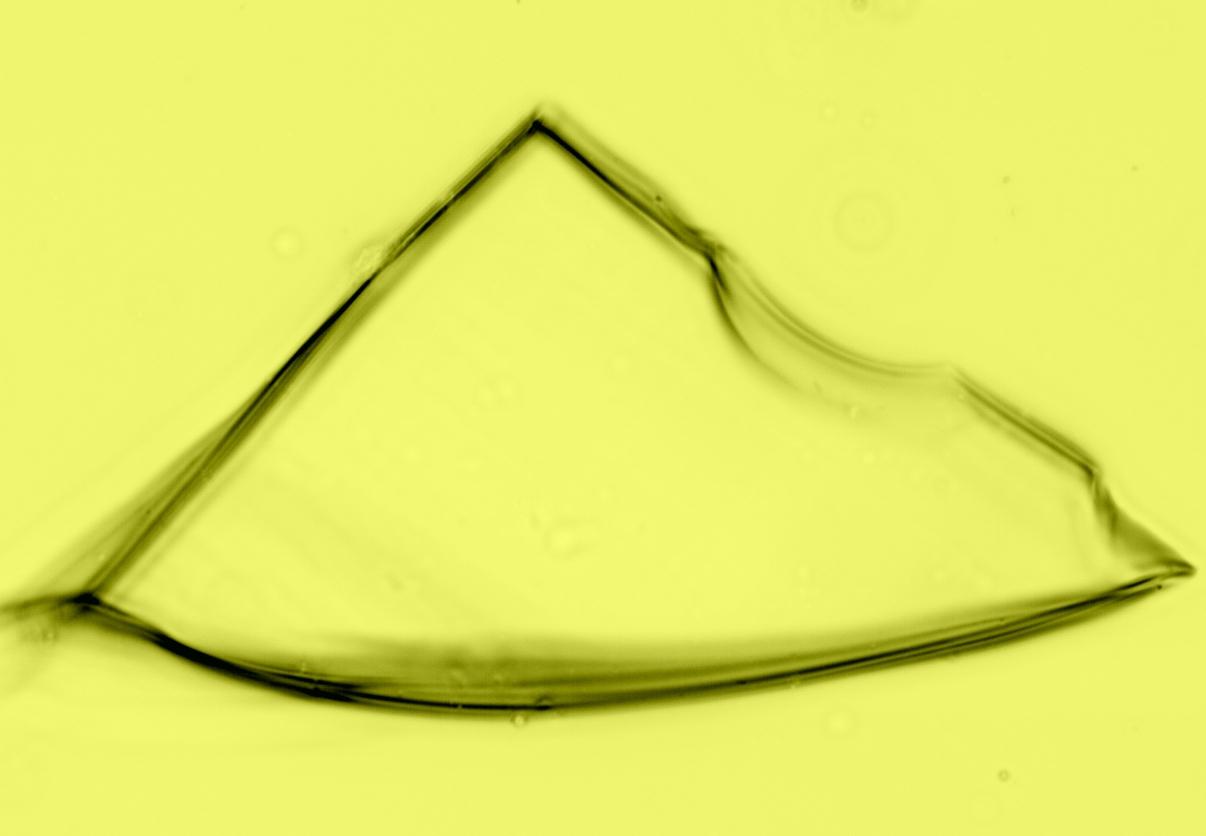 Glass fragment viewed with Micro Refractive Index™ Software Glass fragment viewed with Micro Refractive Index™ Software